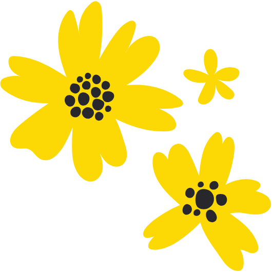 아라자 노란미나리